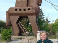 A Trojan Horse, Troy